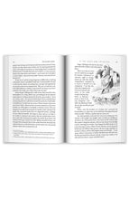 Load image into Gallery viewer, Copper Lodge Library: THE SCARLET LETTER