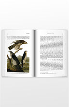Load image into Gallery viewer, Copper Lodge Library: WALDEN, OR LIFE IN THE WOODS